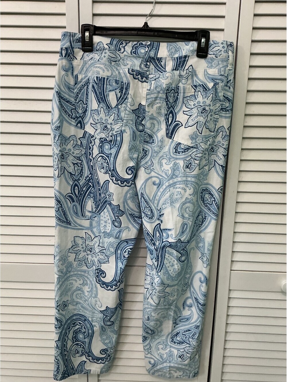 Jones New York Lexington Paisley Blue Ankle Pants Size 12 B4-104